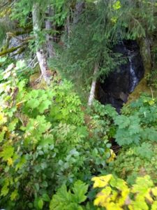 Color picture of greenery in Alaska with waterfall in natural forest.